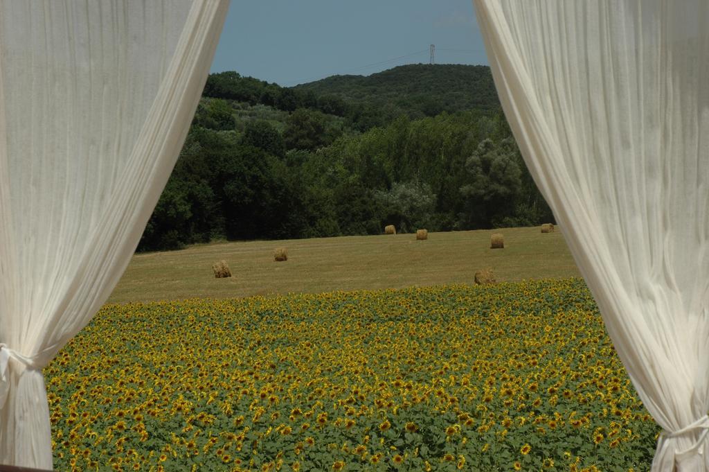 Agriturismo Tara 阿米里亚 外观 照片
